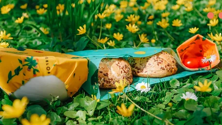 8 vecí, bez ktorých neodchádzaj na piknik
