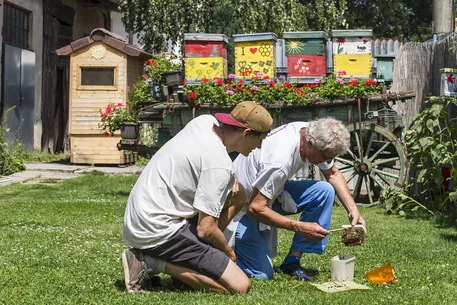 Včelí vosk: Prírodný poklad a jeho tajomstvá