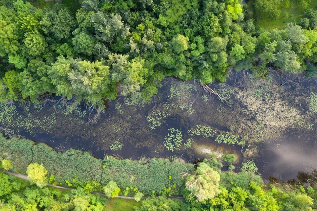 Mačka vo vreci ~ zbierka pre Broz