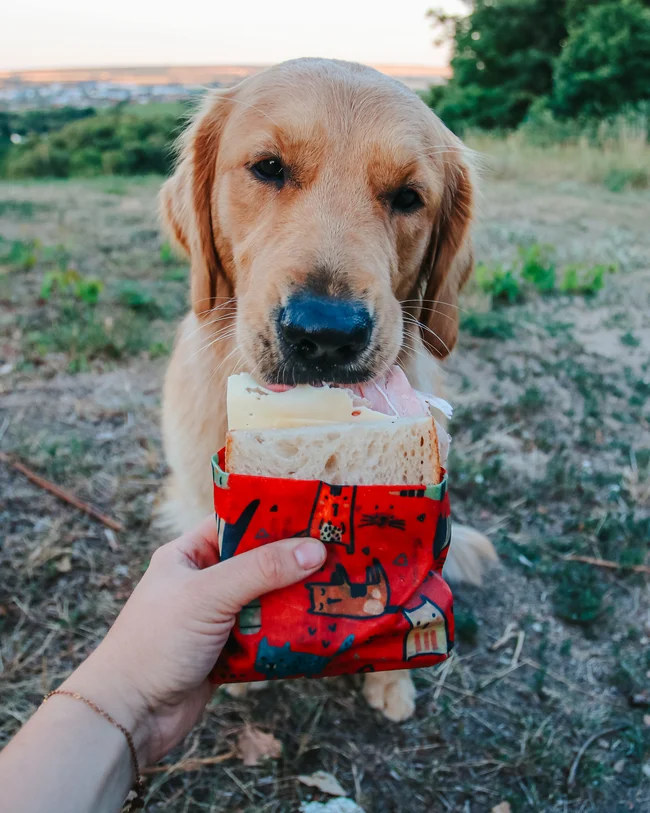 Včelobal L - Zvieratká