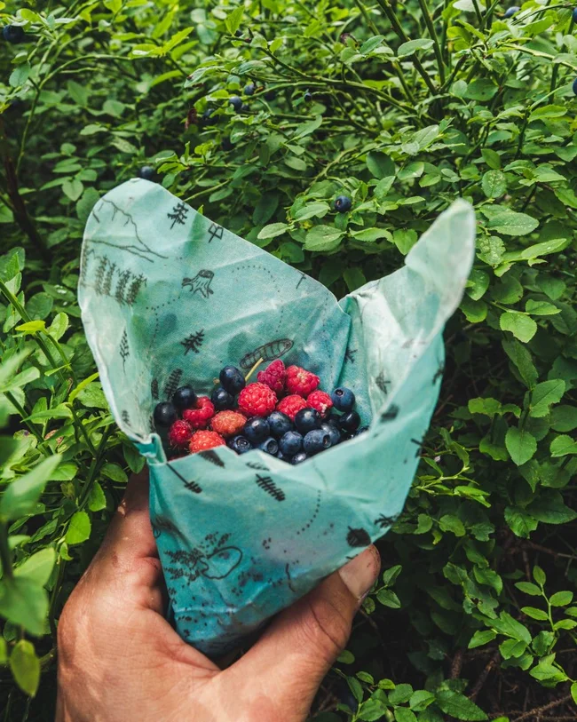 Včelobal M - Turista