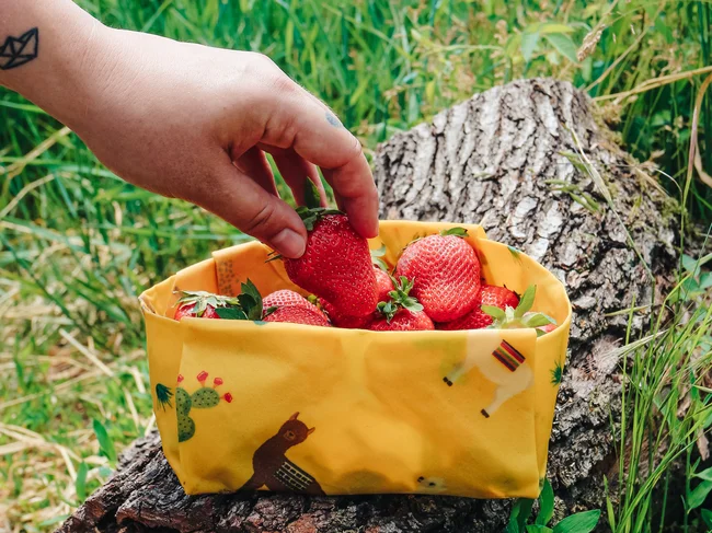 Včelobal TRIO - Zvieratká