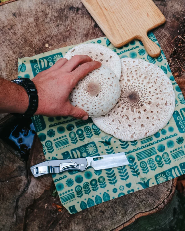 Včelobal L - Rozkvitnuté